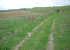 Picture 025